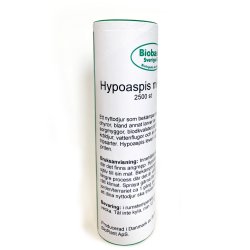 Jordrovkvalster (Hypoaspis)