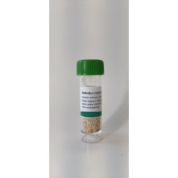 Nyttodjur mot Bladlss