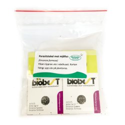 Nyttodjur mot Vita flygare