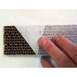 Bladluslejon (Chrysoperla)